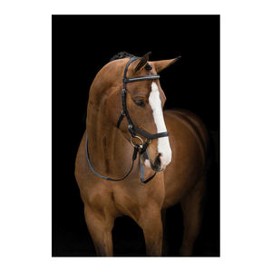 Objeto questrian eath novnovbo Bo ickickickamamomomomompetition ririririririri - Product Image 2