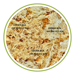 ¡100% Wildcrafted y puro de Vietnam de alta calidad y listo para la venta al por mayor! - Product Image 1