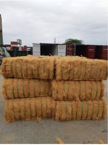 VIFARMEX Direct Factory Fibra de Coco Mayorista Residuos Agrícolas para Agricultura e Industria a Precio Competitivo - Product Image 5
