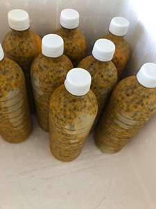 Bonne qualité Passiflora ligularis/Fruit de la Passion glacé Ms sofia - Product Image 3