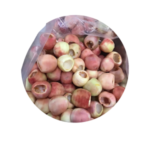 FURRE DE FRUTA DE PASIÓN CONGELADA para EXPORTAR DESDE VIETNAM/PRODUCTO DE FRUTA DE PASIÓN SECA DE ALTA CALIDAD en VIETNAM/ Jessi - Product Image 6