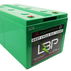 LBP 36V 120AH batteria al litio