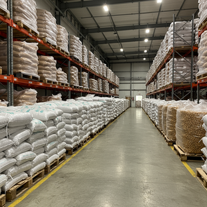 Commandes en gros de noix de cajou séchées traitées de qualité supérieure acceptées Noix de cajou fraîches emballées dans des sacs propres et sans humidité - Product Image 2