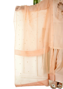 Robe de soirée longue pakistanaise grande célébration formelle de jour douce pour les occasions formelles - Product Image 4