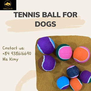 Pelota de tenis personalizada para perros, bola de tenis para perros, multicolor, OEM, venta al por mayor, con Logo, HOANG LINH SG, de Vietnam - Product Image 2
