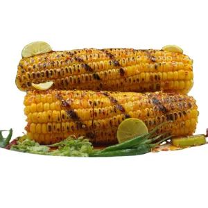 Wholesale Best Quality Corn on the Cob Double Best Selling Best Twin Cob Corn from Indian Exporter Available at Export Price