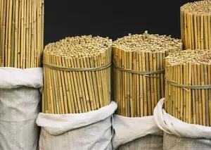 En çok satan sopa düz bambu bahçe tesisi için özelleştirilmiş uzunluk bambu stakes Vietnam Anna