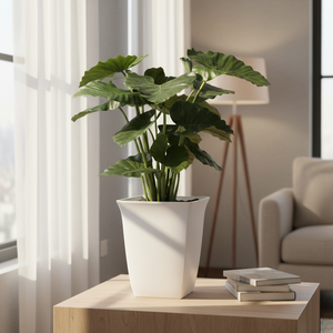 ทำความสะอาดง่ายเหมาะสำหรับดอกไม้สมุนไพรและต้นไม้ในร่มกระถางต้นไม้พลาสติกทรงกระบอกแข็งแรงทนทานน้ำหนักเบา - Product Image 4