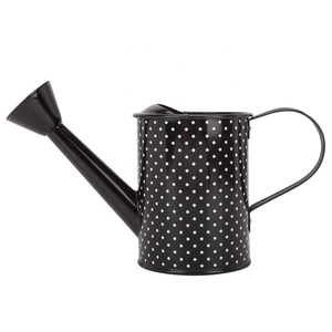 กระป๋องน้ำสำหรับสวนในร่มและกลางแจ้งอุปกรณ์รดน้ำโลหะชุบสังกะสีสไตล์ทันสมัย - Product Image 2