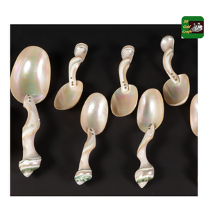 Cuchara de concha hecha de concha de océano sostenible para mesa de lujo o uso de condimentos de cocina en Vietnam - Product Image 4