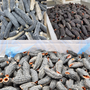 ปลิงทะเลแห้งป่าราคาถูก - Product Image 3