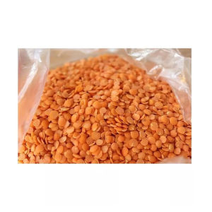 Bulk red <b>lentils</b> supplier providing wholesale export low price and reliable delivery - Product Image 2
