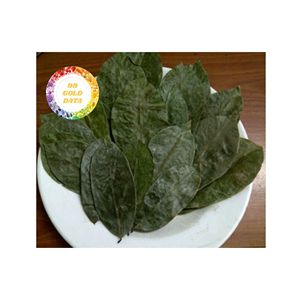 PREMIUM VIETNAMIEN FEUILLES DE GRAVIOLA SOURSOP SÉCHÉES INGRÉDIENT DE THÉ NATUREL POUR BOIRE DE THÉ DÉTENTE DE HAUTE QUALITÉ - Product Image 2