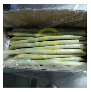 CANNE À SUCRE CONGELÉE DE HAUTE QUALITÉ ET DU PRIX LE PLUS BAS/PRODUITS TOP VENTE CHAUDE 2024 - Product Image 3