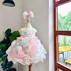 Vestido de Princesa de Tul con Cuentas y Pétalos de Rosa, Estilo Sirena, Largo hasta el Suelo, para Bebés, OEM ODM, Entrega Rápida, Vietnam - Product Image 6
