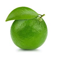 Citron Vert Premium Frais et Mûr Sans Pépins, Haute Qualité, Juteux et Sain, Marque VIOT, 6cm, 0.1kg, Durée de Conservation 12 Mois, Exportateur Vietnamien