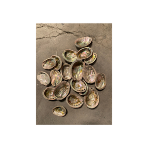 Piezas de concha de perlas naturales para hacer campanas de viento para proyectos de decoración de jardines al aire libre Venta al por mayor Diseño de interiores Exportación en Vietnam - Product Image 3