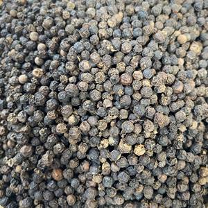 Pimienta negra cruda Preguntas frecuentes 400 450 500 550 GL DENSIDAD Mr Thomas Nguyen WS 84 789896886 - Product Image 2