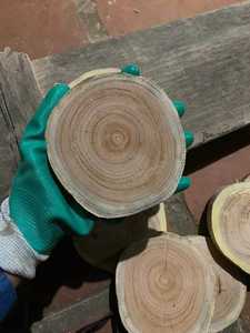 MEILLEUR VENDEUR | Tranches de bois de pin durables pour sous-verres, peintures et panneaux muraux-BLEU LOTUS VIETNAM - Product Image 5