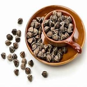 Graines de Moringa Oleifera biologiques de qualité supérieure pour des bienfaits médicinaux et pour la santé au prix d'usine - Product Image 1