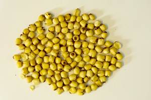 GRAINES DE LOTUS EXPORTÉES - Product Image 5