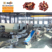 Roestvrijstalen Automatische Dadels Borstelreinigingsmachine Data Verwerking Machine Prijs Palm Dadels Wasmachine