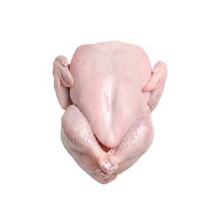 Pollo Entero Congelado de Primera Calidad, Pollo Entero Congelado Halal, Pollo Entero Congelado al Mejor Precio - Product Image 3