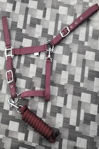 Kanpur Fabricant Vente en gros directe de haute qualité Selle anglaise personnalisée Cheval licou Nylon Web Équipement d'équitation - Product Image 6