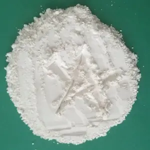 Alta qualidade Carbonato De Cálcio Em Pó, Caco3 para masterbatch enchimento indústria