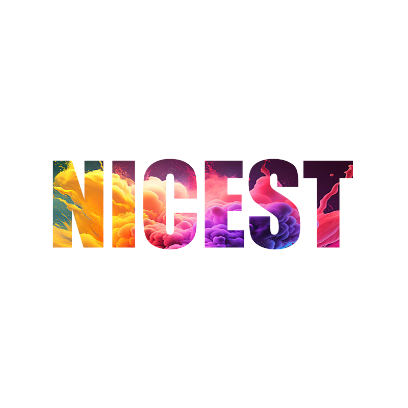 Guangdong Nicest Trading Co., Ltd. logo