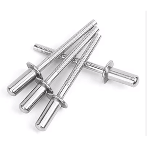 Divers rivets aveugles en acier inoxydable 304 zingués selon la norme DIN pour barre de porte de conteneur - Product Image 1