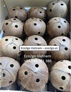 Pots de plantes en coquille de noix de coco fabriqués au Vietnam de taille moyenne à grande pour le jardin ou la pépinière - Product Image 4
