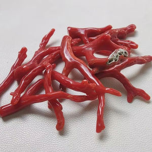 Palo de coral rojo italiano natural genuino, palo pulido de coral rojo italiano natural 100%. Palo de Coral Brillante Pulido, Palo de Coral - Product Image 1