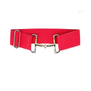 Nouveau Design Multi couleurs Élastique Cheval Ceinture D'équitation Réglable Extensible Brillant Fermoir Boucle En Acier Inoxydable pour Femmes Cavalier - Product Image 6