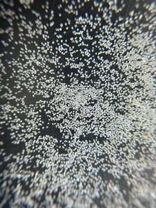 Electrodo de batería Recubrimiento de polvo de diamante natural uso abrasivo - Product Image 4