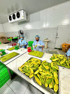 Avocat congelé de haute qualité du Vietnam Meilleur pour la cuisson des smoothies et l'industrie alimentaire Commandes en gros disponibles - Product Image 3