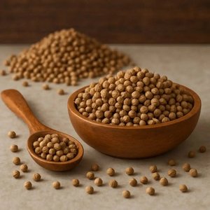 Especias individuales de semilla de cilantro verde de loro doble de alta calidad secas a precio mayorista de La India-Tipo de procesamiento crudo - Product Image 4