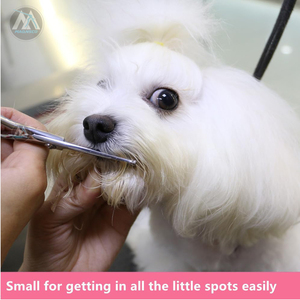 กรรไกรเล็มขนแบบใบมีดตรงขนาด5.0นิ้ววัสดุเหล็กสำหรับสุนัขขนาดเล็กที่ออกแบบมาสำหรับตัดหูจมูกอุ้งเท้า - Product Image 5