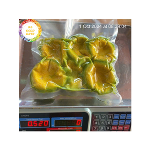 Aguacate congelado Material de aguacate de Vietnam de alta calidad para la producción de jugo de fábricas de alimentos y venta al por mayor en todo el mundo - Product Image 1