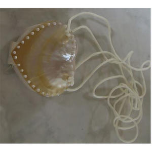 Boîte à bijoux en coquillage tendance, accessoires de mode, boîte à bijoux en coquillage, sac à motif artistique, taille 12 cm, boîte à bijoux, portefeuille - Product Image 2