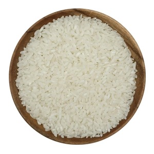 Riz Basmati à Grains Longs de Qualité Supérieure pour l'Exportation, Séché, Texture Moelleuse, Approvisionnement en Gros, Haute Qualité pour l'Exportation en Gros - Product Image 5