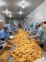 Zacht Gedroogde Mango Natuurlijk Zoet Van Boerderij Tropisch Fruit Snack Zacht Gedroogde Mango Plakjes Prival Label Service-Anna Do 849821530