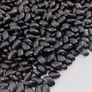 Haricots noirs de qualité supérieure en vrac, séchés par lyophilisation, 25 kg, fournisseur belge, excellente apparence et goût, aliments bruts naturels transformés - Product Image 4