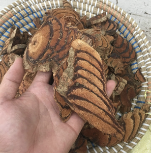 Vietnam Origin Dried Sargentodoxa cuneata Bark Pieces for Natural Pigment and Artistic Material Supply - Product Image 5
