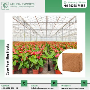 100% Mezcla de macetas naturales Medios de cultivo de médula de coco o bloque de turba de coco 5kg de precio directo de fábrica - Product Image 6