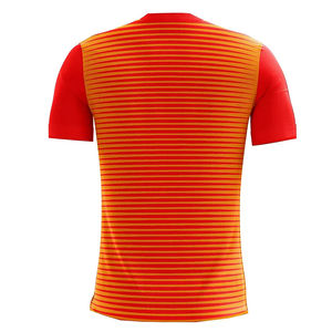 Maillot de football personnalisé pour homme avec logo, impression par transfert thermique, OEM ODM, vêtements de sport vierges, 100 % polyester, séchage rapide, coupe courte - Product Image 2