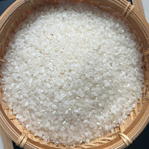 Arroz Japonica de Alta Calidad al por Mayor de Vietnam para Supermercados, Servicios de Alimentos y Compradores Internacionales - Product Image 3