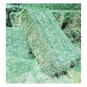Heno de Alfalfa Verde Fresco de Primera Calidad, Alto en Fibra, Ingredientes 100% Naturales, Alimento Nutritivo para Ganado y Caballos, Vida Útil de 24 Meses - Product Image 4