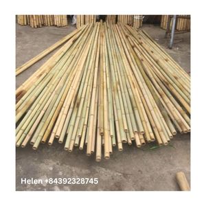 Postes de bambú amarillos para vallado de jardín y construcción de soporte de plantas hechos en Vietnam con precio barato - Product Image 4