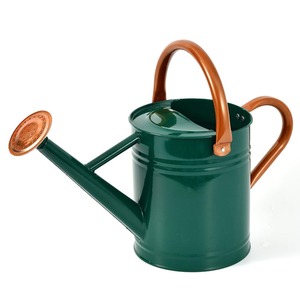 Regadera de metal de estilo urbano elegante con acabado blanco mate, ideal para oficinas modernas y decoración de plantas con estilo - Product Image 2